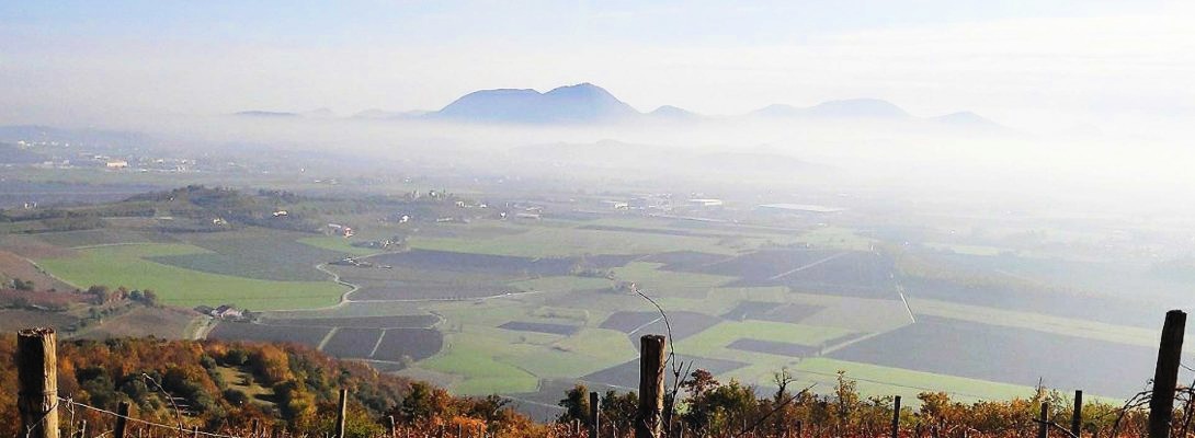 Area Berica 2030 per uno Sviluppo Territoriale Sos