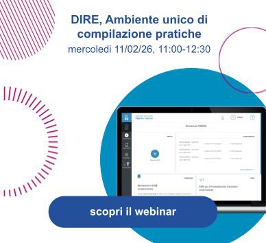 Webinar per le imprese su DIRE