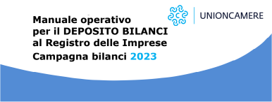 CAMPAGNA BILANCI 2023 manuale