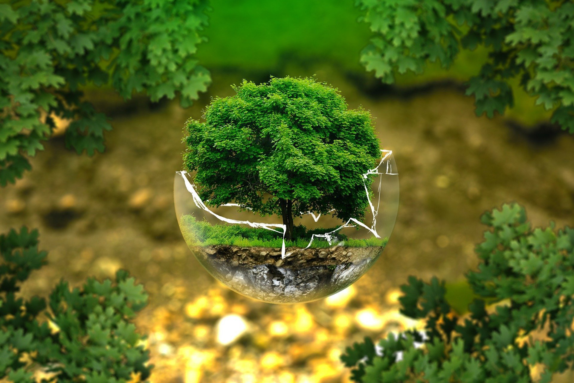 Webinar 6 luglio 2020 ore 9,15 - AZIENDA GREEN environmental-protection-326923_1920_5546_1.jpg (Art. corrente, Pag. 1, Foto logo)